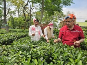 गणेश जोशी ने असमिया चाय को बताया राज्य की आत्मा