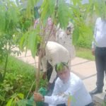 उत्तराखंड की पहाड़ी शैली में सजा जल-सृष्टि पार्क, जलीय जीवों और हरियाली के संरक्षण पर भी जोर