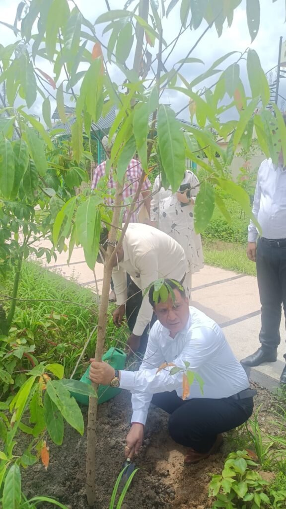 उत्तराखंड की पहाड़ी शैली में सजा जल-सृष्टि पार्क, जलीय जीवों और हरियाली के संरक्षण पर भी जोर